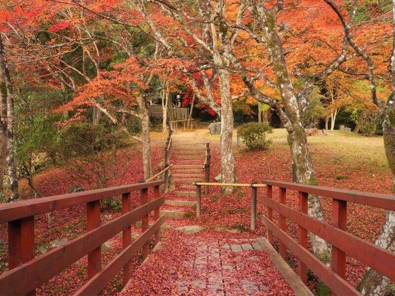 Yumoto Ueyama Ryokan Хімедзі Екстер'єр фото
