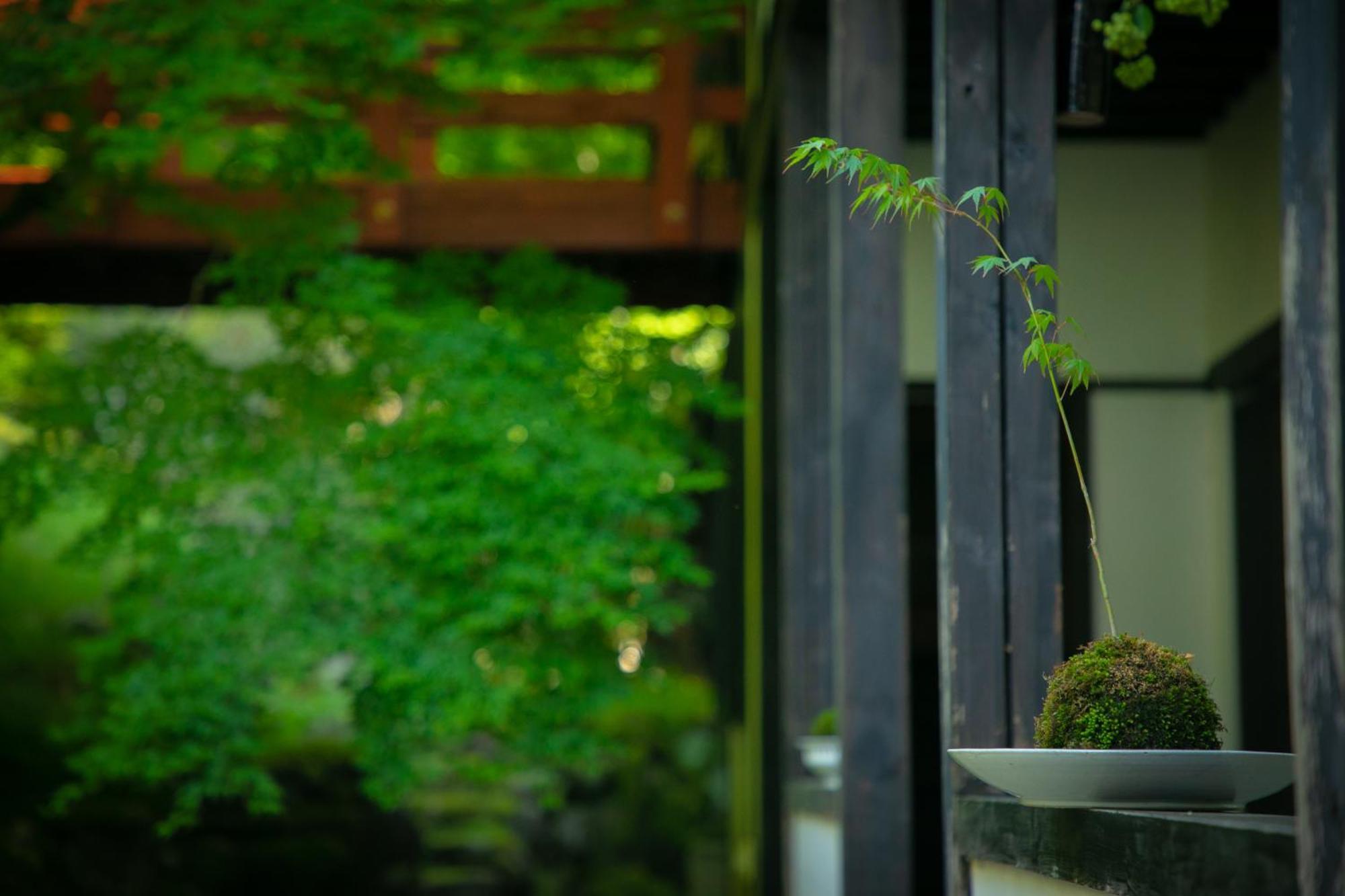 Yumoto Ueyama Ryokan Хімедзі Екстер'єр фото